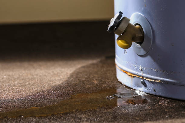 Trusted Water Damage Restoration in Williamsburg, IA | Fast, Reliable, and Ready to Assist You