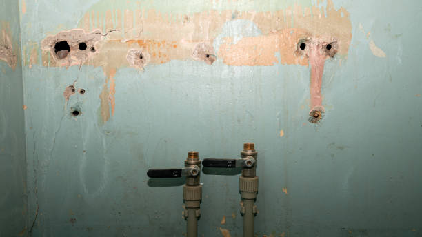 Best Storm and Flood Water Damage Restoration in Willmsburg, IA